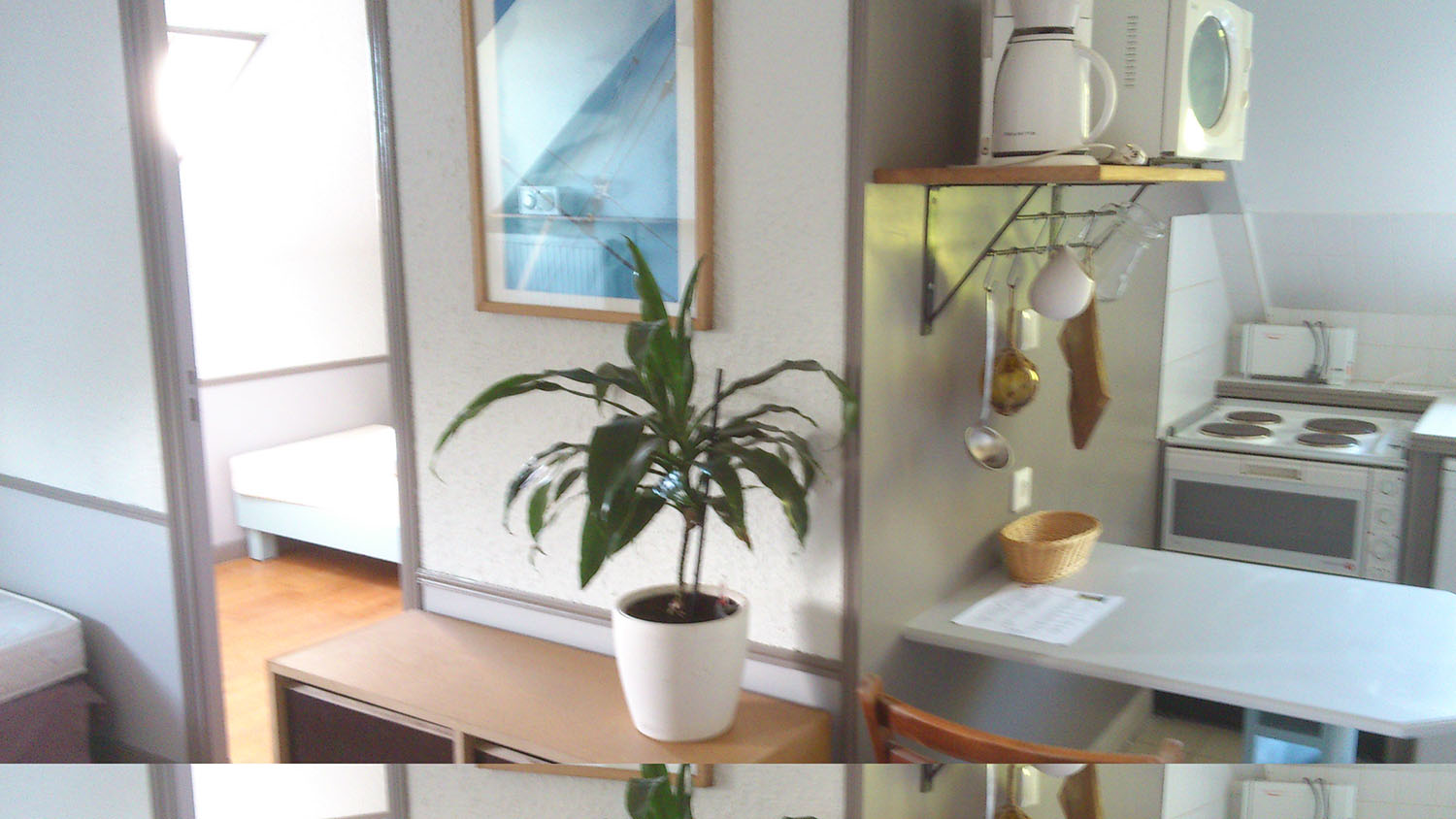 Appartement face à la mer – 2/4 personnes