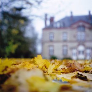 automne-2010-argentique