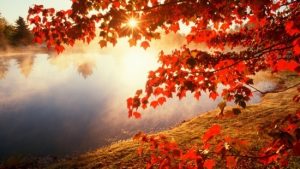 automne