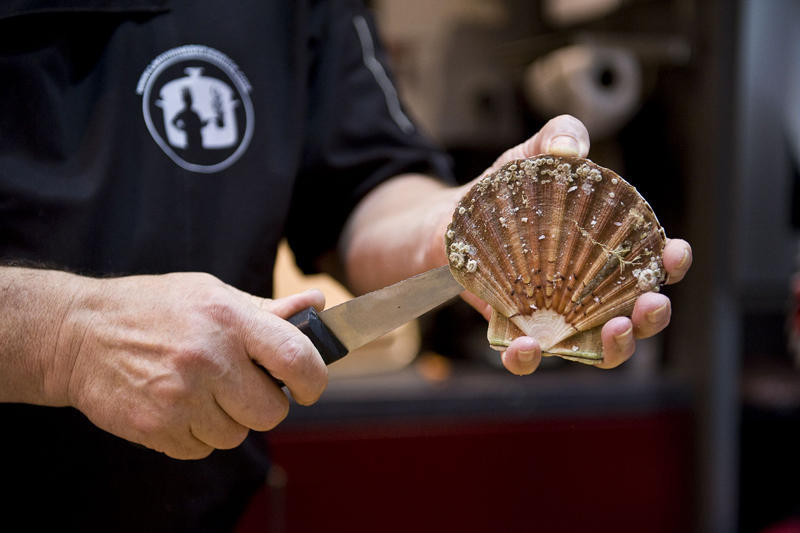 Fête de la coquille St Jacques en Côtes d’Armor